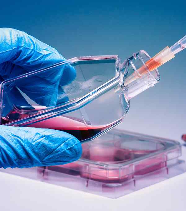 https://euro-linkpharma.co.uk/wp-content/uploads/2020/04/service_5-6.jpg